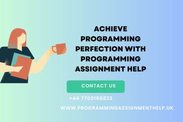 Programming Assignment Help