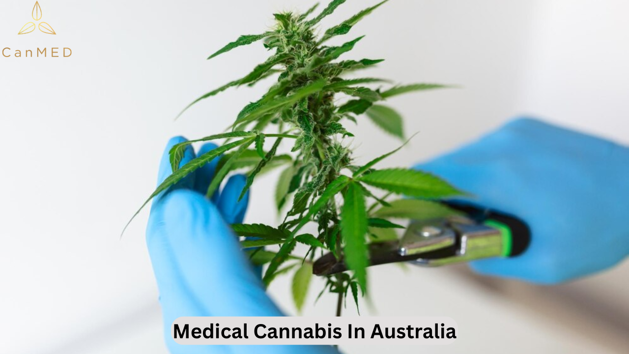 Medical Cannabis in Australia - CanMed Australia