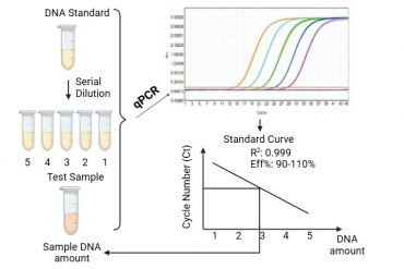 Insect Nucleic Acid Residue Assay Kits