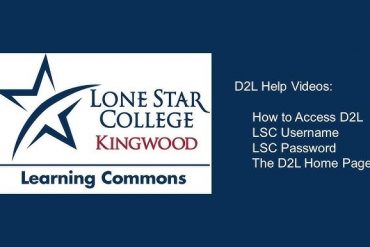 D2l Loanstar