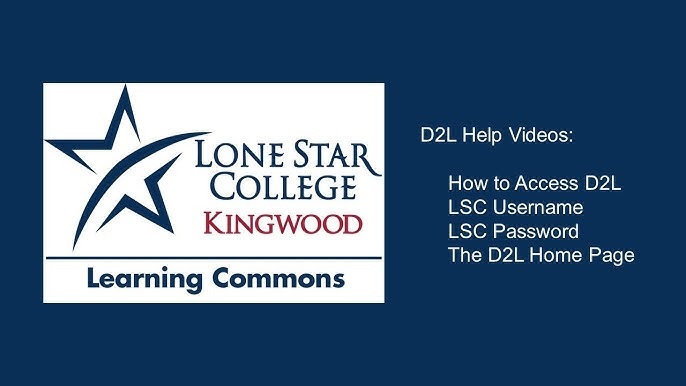 D2l Loanstar