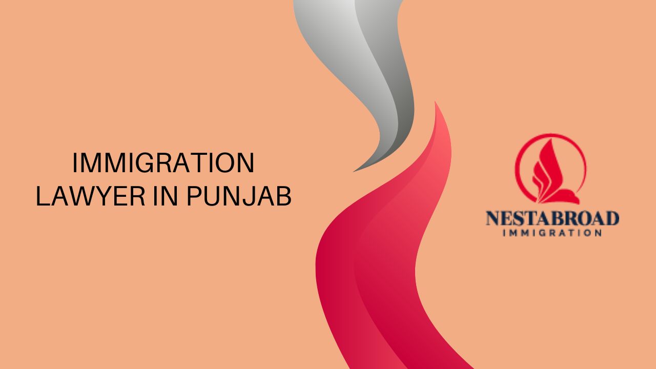 Immigration Lawyer in Punjab - Nestabroad Immigration
